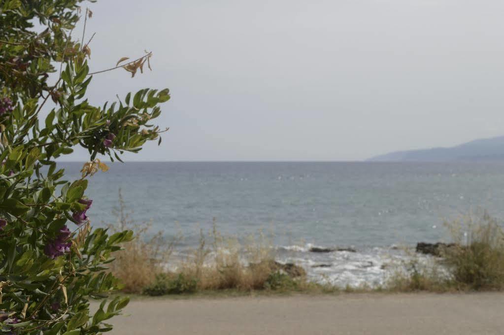 Andromeda Apartments&Studios Hersonissos  Exteriör bild